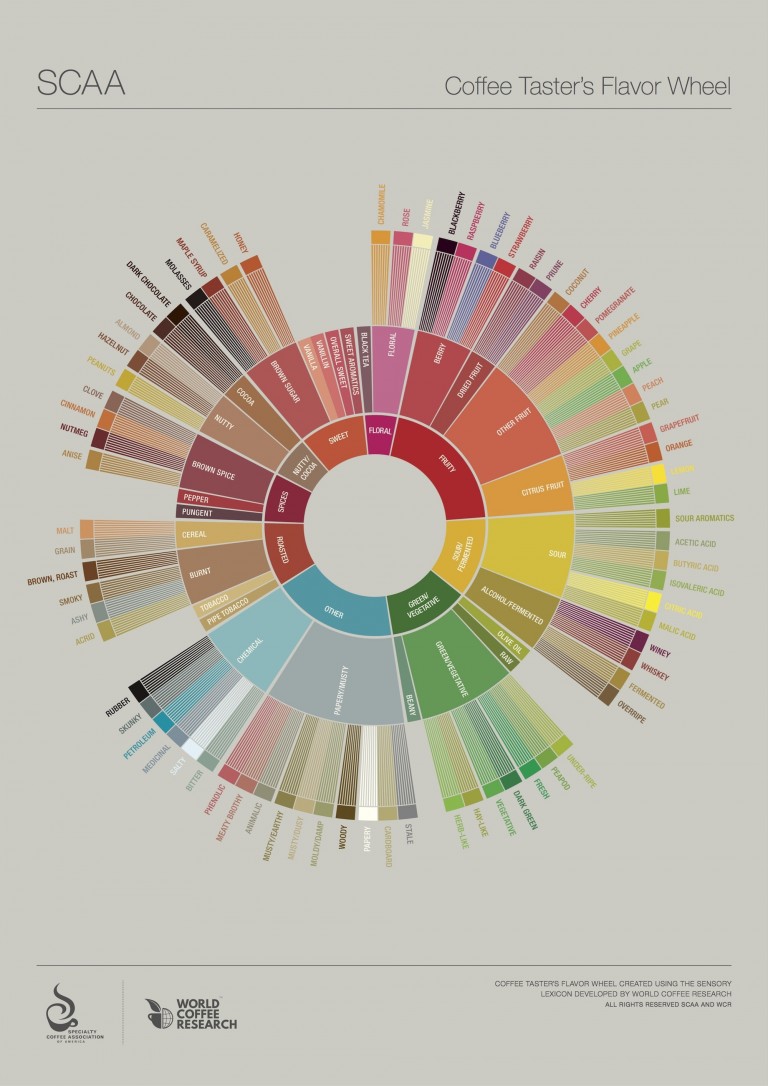 SCAA_FlavorWheel
