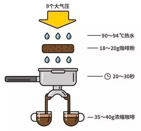 选意式拼配还是SOE？点美式关于选咖啡豆的事