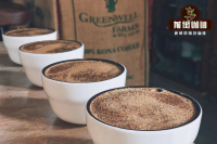 北美洲多米尼加 咖啡历史产地种植环境和风味特点介绍