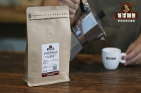 什么是预磨咖啡粉和现磨咖啡？买咖啡豆和咖啡粉哪个更好