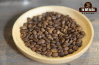 赞比亚咖啡起源种植产区及口感风味特点介绍