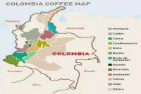 哥伦比亚咖啡各大产区风味