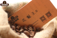 云南咖啡和海南咖啡哪个好？海南和云南小粒咖啡豆风味口感特点区别