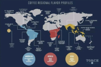 哥斯达黎加咖啡豆 塔拉珠产区咖啡豆品种口感风味特点