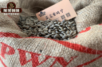 黄金曼特宁品种风味口感 印尼湿刨曼特宁咖啡豆怎么冲好喝？