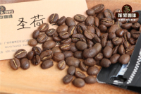 新手入门 选购和辨别咖啡豆技巧 如何做咖啡 