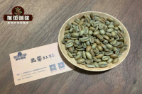 蓝山豌豆咖啡豆和蓝山咖啡豆的形状烘焙时间的区别 蓝山咖啡庄园