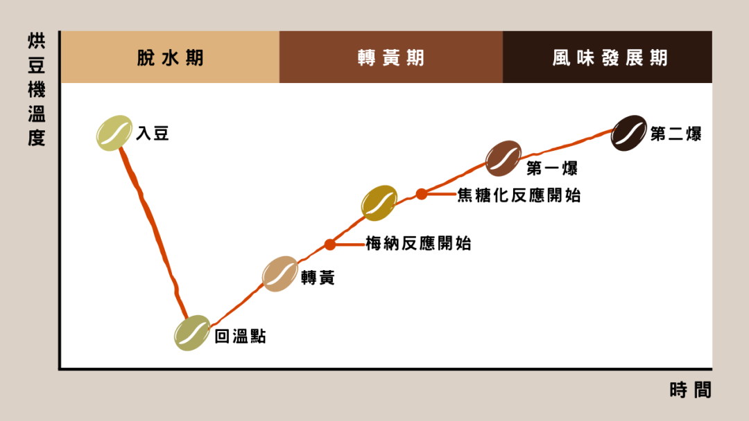 咖啡的甜感和烘培度有关么？